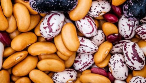 unverpackt Lebensmittelmarkt