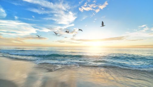 Luftreinigungsgeräte-Hersteller